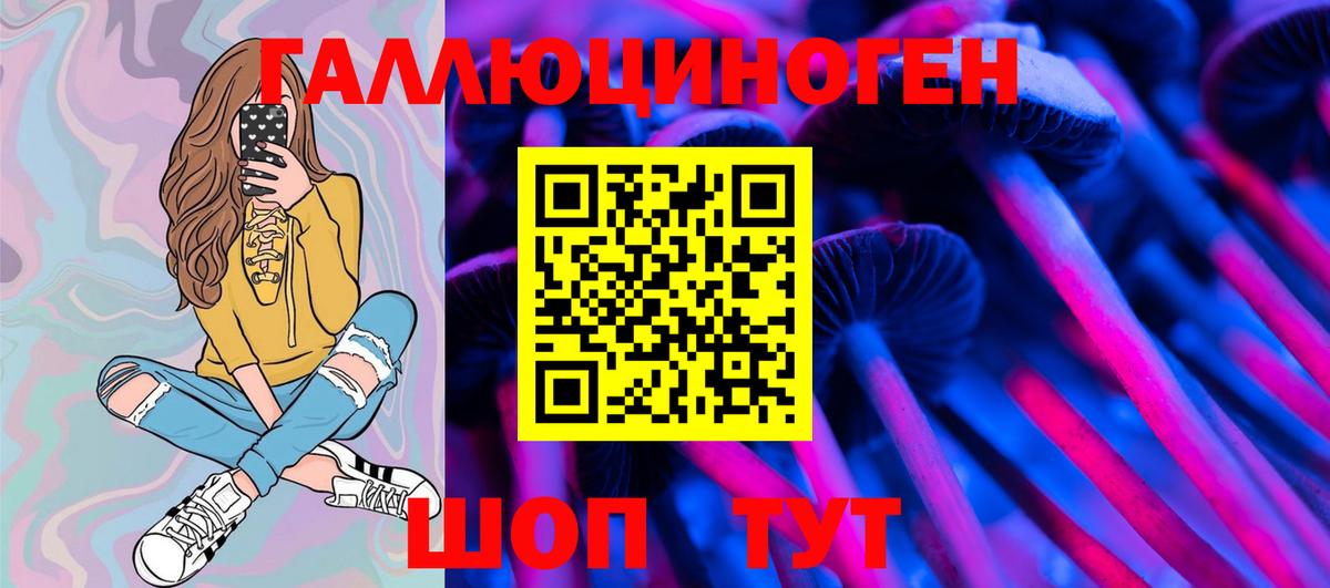 Галлюциногенные грибы Psilocybe Сосновоборск